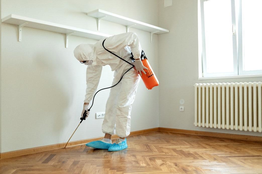 Reasons Why You Should Leave Termite Treatment to the Professionals