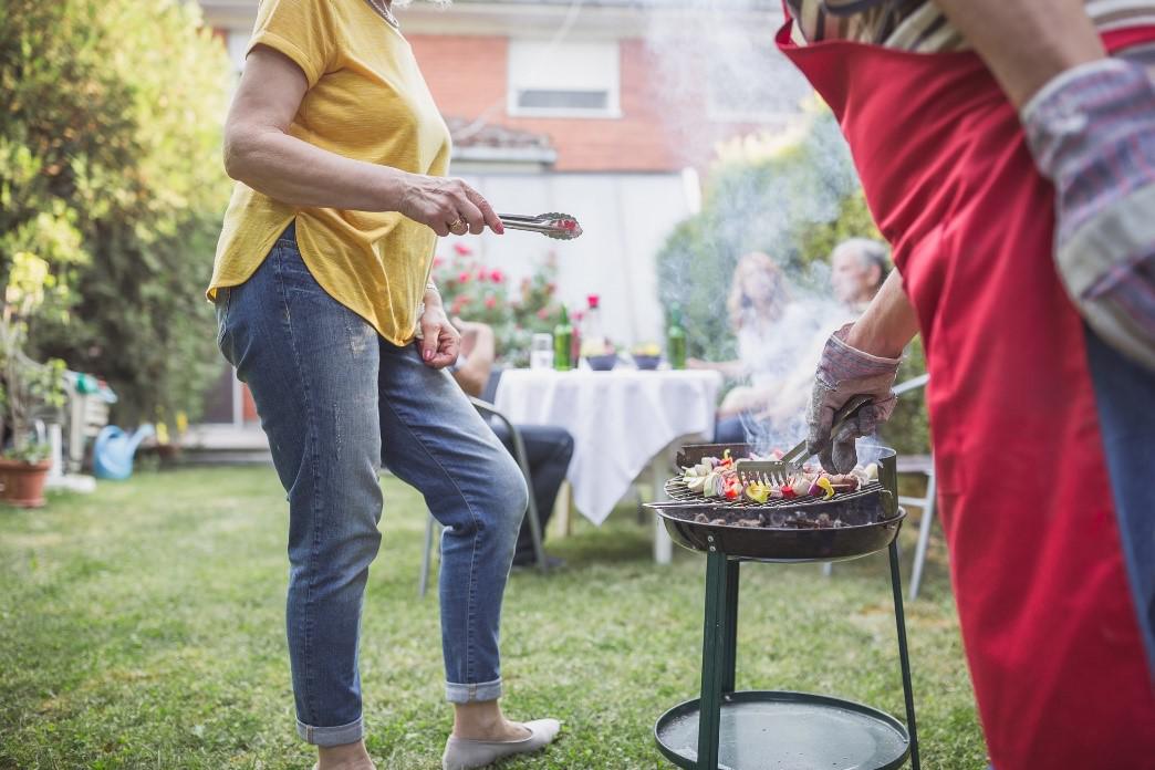 Pests That Can Ruin Your Summer Backyard BBQ