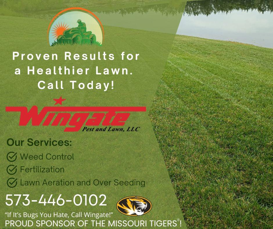 Essential Spring Lawn Care Tips for a Lush Yard