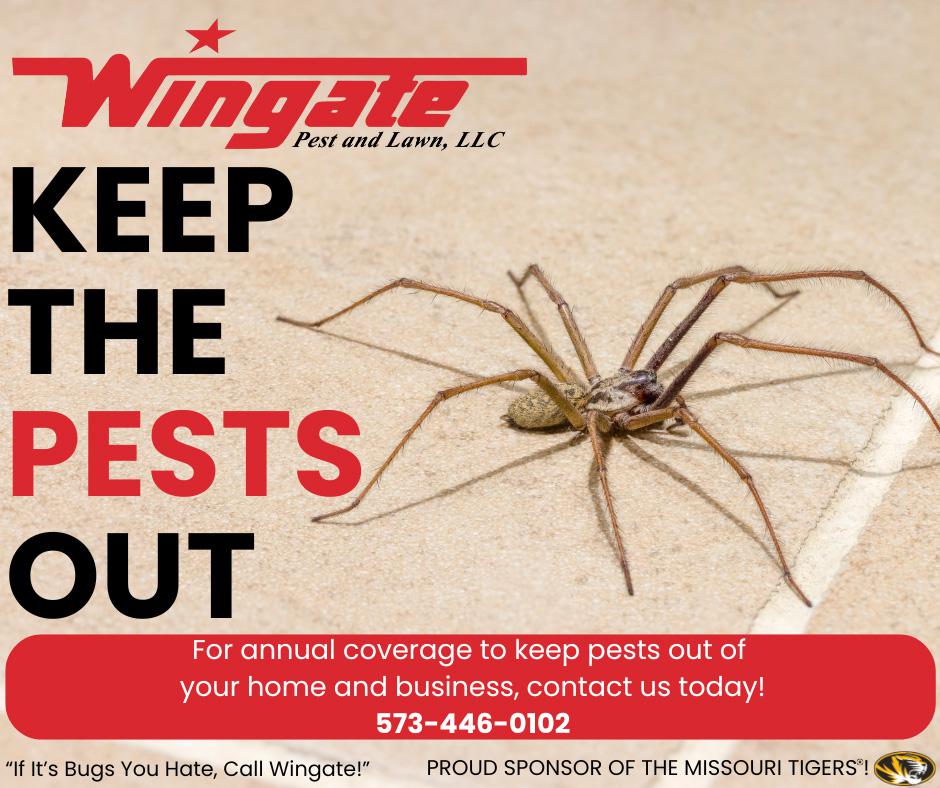 Steps to Prevent Pests Year-Round: Seasonal Guide