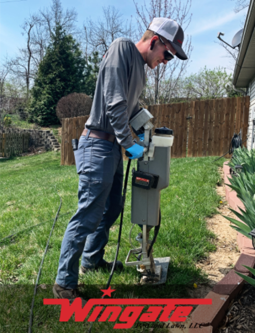 Why Termite Elimination and Routine Inspection is Important