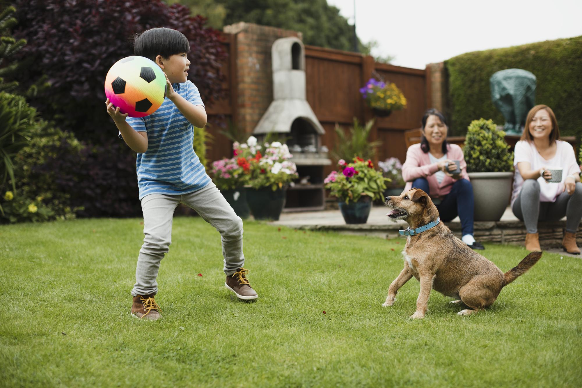 Lawn Care Columbia MO | Young Boy Playing Ball With Dog