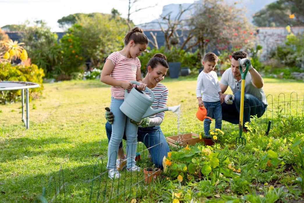 Effective Pest Control Tips for a Healthy Garden