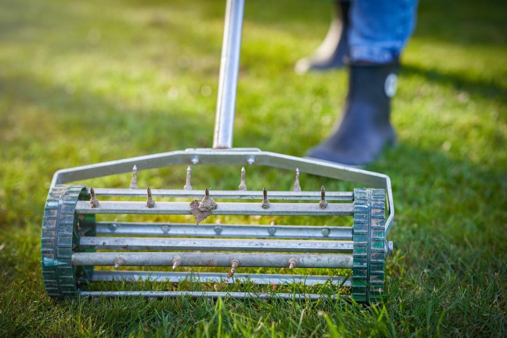Lawn Aeration FAQ: What You Need to Know