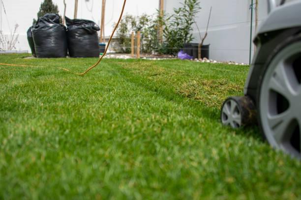 Benefits of Aerating Your Lawns