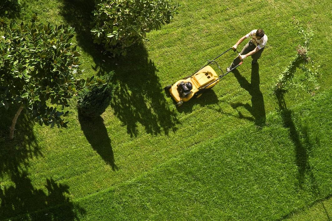 Spring Lawn Care Tips and Checklist