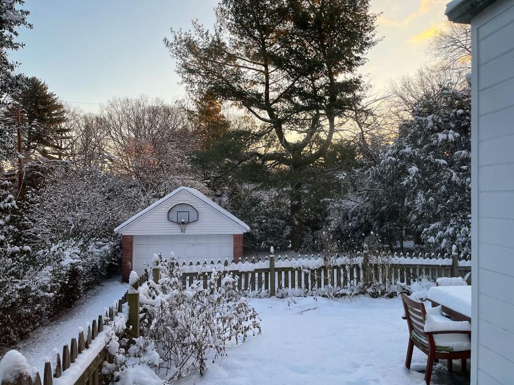 Lawn During the Winter