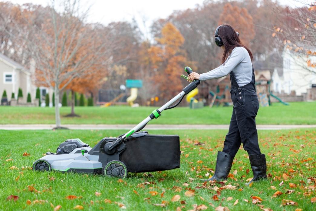 Lawn for Winter