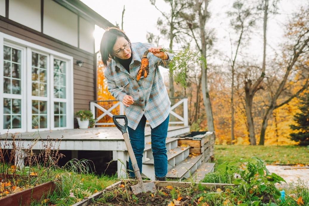 The Importance of Grub Control for a Healthy Lawn